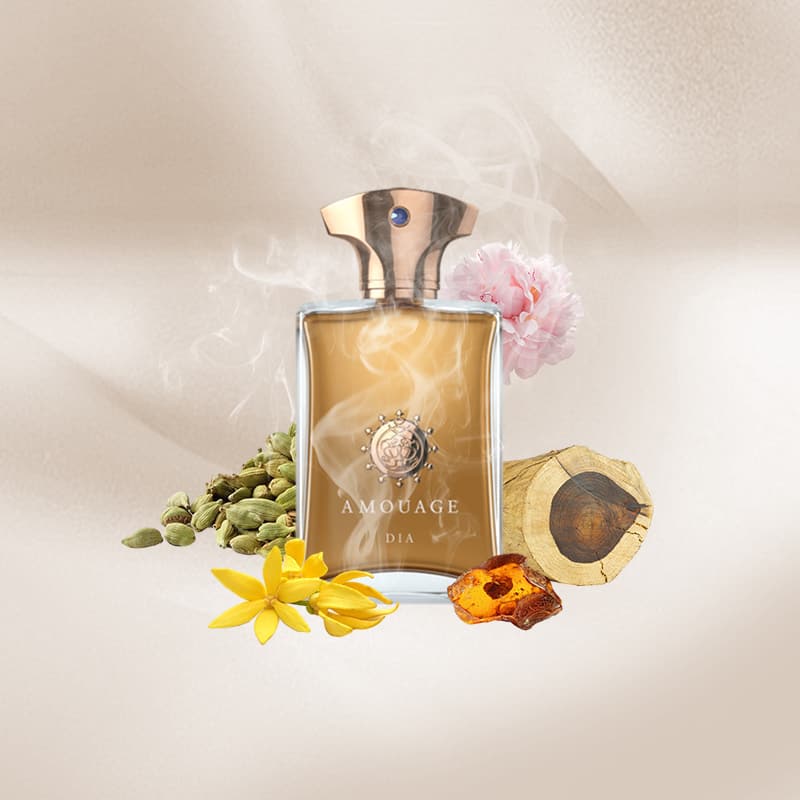 Amouage - Dia Men