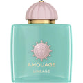 Amouage - Lineage